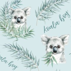 Koala – boy – potlačený RIB úplet Anatte