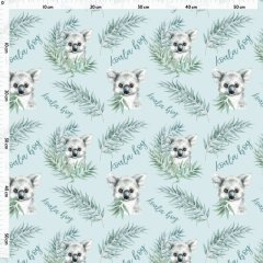 Koala – boy – potlačený RIB úplet Anatte